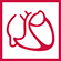 Logo-Deutsche-Gesellschaft-fuer-Kardiologie-small